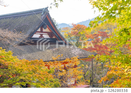 談山神社 紅葉に包まれた神廟拝所 談山神社 紅葉に包まれた神廟拝所 126280338