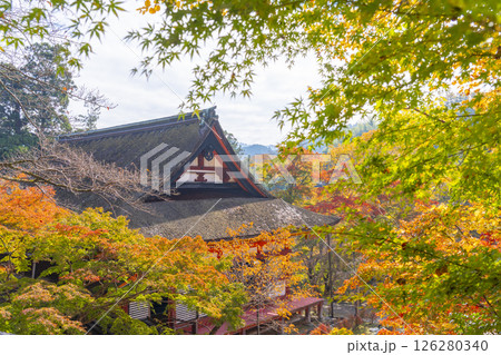 談山神社　紅葉に包まれた神廟拝所 126280340