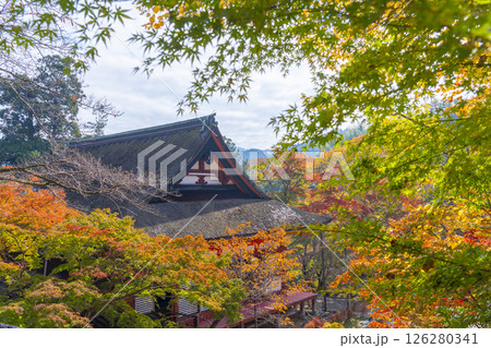 談山神社　紅葉に包まれた神廟拝所 126280341