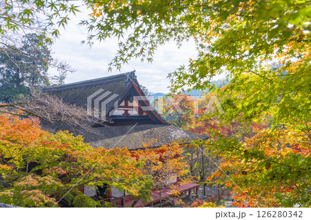 談山神社　紅葉に包まれた神廟拝所 126280342