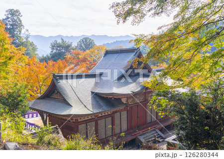談山神社 紅葉に包まれた総社拝殿 談山神社 紅葉に包まれた総社拝殿 126280344