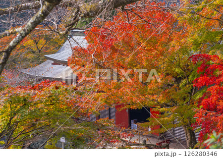 談山神社　紅葉に包まれた総社拝殿 126280346