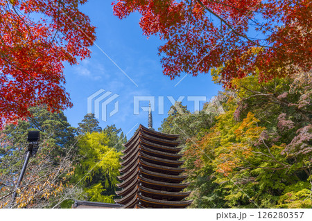 談山神社　紅葉に包まれた十三重塔 126280357
