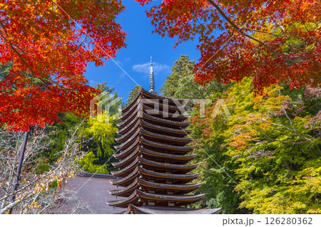 談山神社 紅葉に包まれた十三重塔 談山神社 紅葉に包まれた十三重塔 126280362