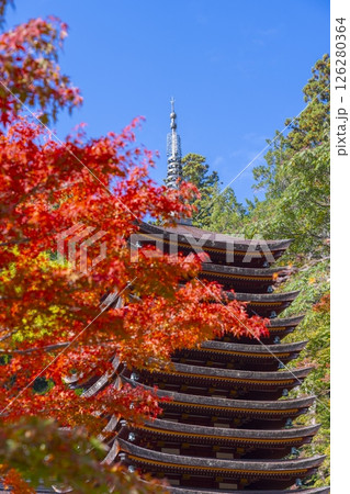 談山神社　紅葉に包まれた十三重塔 126280364