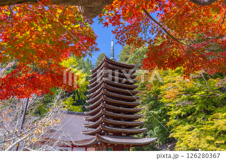 談山神社　紅葉に包まれた十三重塔 126280367