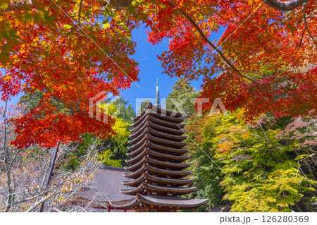 談山神社　紅葉に包まれた十三重塔 126280369