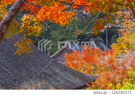 談山神社 紅葉に包まれた境内 談山神社 紅葉に包まれた境内 126280371