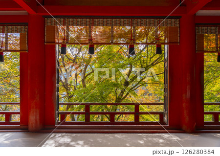 談山神社　拝殿から見える美しい紅葉 126280384