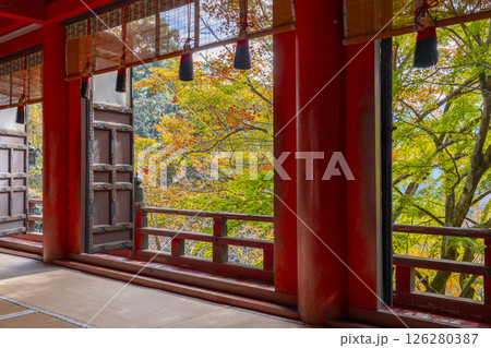 談山神社 拝殿から見える美しい紅葉 談山神社 拝殿から見える美しい紅葉 126280387