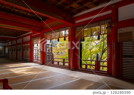 談山神社　拝殿から見える美しい紅葉 126280390