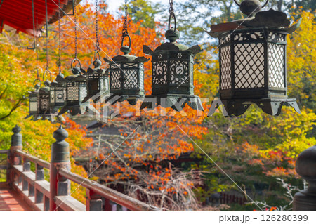 談山神社　吊り灯籠と美しい紅葉 126280399