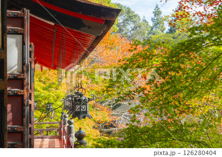 談山神社 吊り灯籠と美しい紅葉 談山神社 吊り灯籠と美しい紅葉 126280404