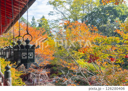 談山神社　吊り灯籠と美しい紅葉 126280406