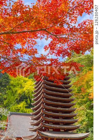 談山神社　紅葉に包まれた十三重塔 126280407