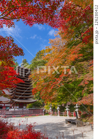 談山神社　紅葉に包まれた十三重塔 126280412