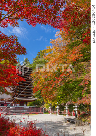 談山神社　紅葉に包まれた十三重塔 126280414