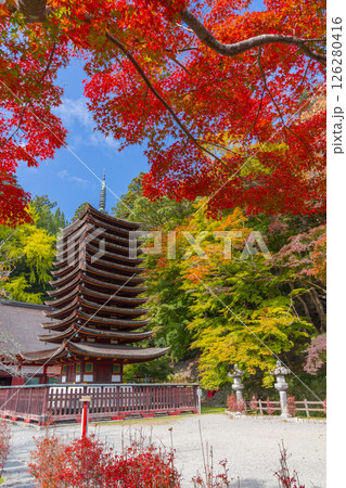 談山神社　紅葉に包まれた十三重塔 126280416