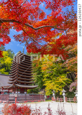 談山神社 紅葉に包まれた十三重塔 談山神社 紅葉に包まれた十三重塔 126280417
