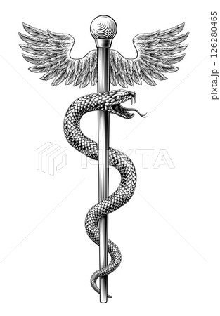Rod of Asclepius Caduceus Medical Doctor Symbol Rod of Asclepius Caduceus Medical Doctor Symbol 126280465