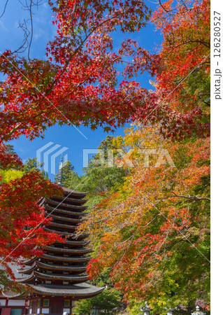 談山神社 紅葉に包まれた十三重塔 談山神社 紅葉に包まれた十三重塔 126280527