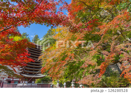 談山神社　紅葉に包まれた十三重塔 126280528
