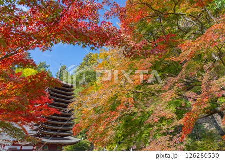 談山神社 紅葉に包まれた十三重塔 談山神社 紅葉に包まれた十三重塔 126280530