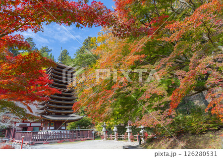 談山神社　紅葉に包まれた十三重塔 126280531