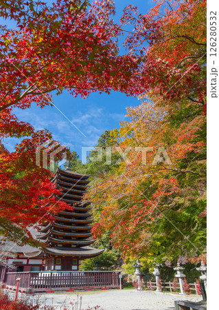 談山神社　紅葉に包まれた十三重塔 126280532