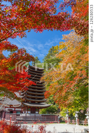 談山神社 紅葉に包まれた十三重塔 談山神社 紅葉に包まれた十三重塔 126280533