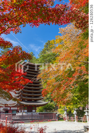 談山神社　紅葉に包まれた十三重塔 126280536