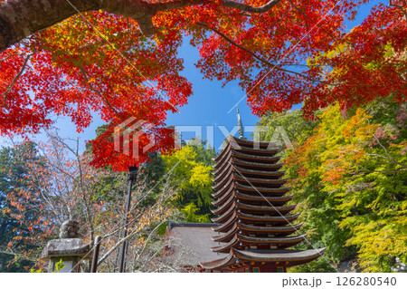 談山神社　紅葉に包まれた十三重塔 126280540