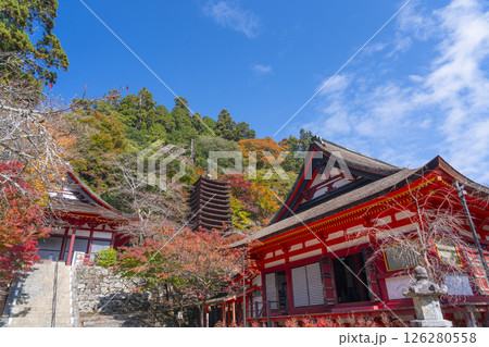 談山神社　紅葉に包まれた権殿・十三重塔・神廟拝所 126280558