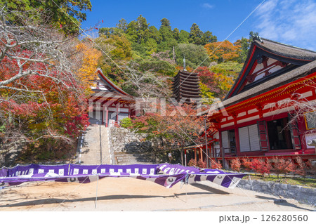 談山神社　紅葉に包まれた権殿・十三重塔・神廟拝所 126280560