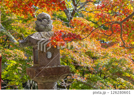 談山神社 美しい紅葉と石灯籠 談山神社 美しい紅葉と石灯籠 126280601