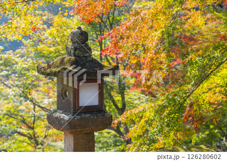談山神社　美しい紅葉と石灯籠 126280602