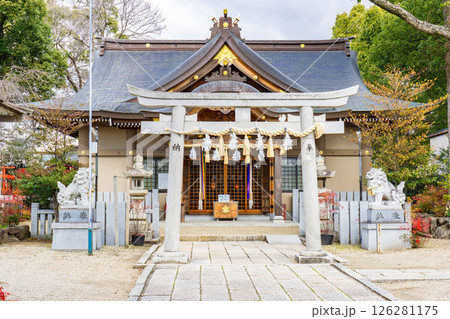 兵庫県川西市小戸の小戸神社(おおべじんじゃ) 鳥居 兵庫県川西市小戸の小戸神社(おおべじんじゃ) 鳥居 126281175