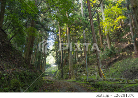 談山神社　多武峰街道 126281370
