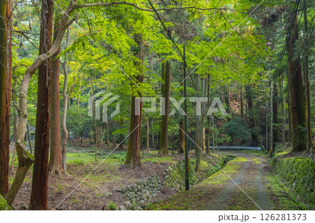 談山神社 多武峰街道 談山神社 多武峰街道 126281373