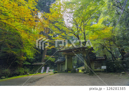 談山神社　東大門 126281385