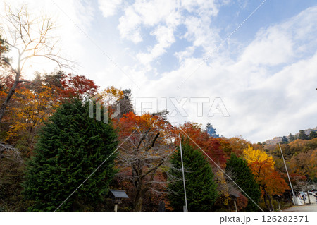 宝登山神社　秋空と紅葉 126282371