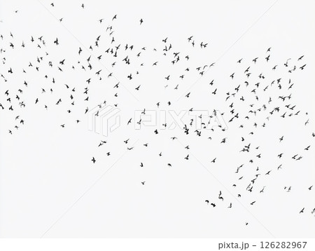 白背景に黒い鳥の群れが飛ぶシルエット風抽象ビジュアル 白背景に黒い鳥の群れが飛ぶシルエット風抽象ビジュアル 126282967