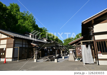 金シャチ横丁正面エリア義直ゾーン(愛知県名古屋市) 金シャチ横丁正面エリア義直ゾーン(愛知県名古屋市) 126283033