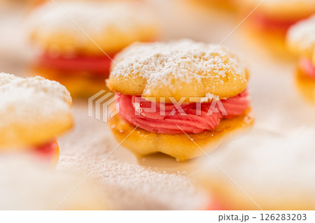 A single lemon spritz cookie sandwich with cranberry buttercream, dusted with powdered sugar. The soft, golden cookie contrasts with the vibrant pink filling, creating a delicate and festive dessert. A single lemon spritz cookie sandwich with cranberry buttercream, dusted with powdered sugar. The soft, golden cookie contrasts with the vibrant pink filling, creating a delicate and festive dessert. 126283203