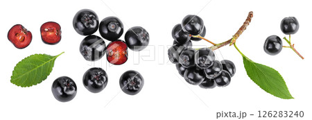 Chokeberry with leaf isolated on white background. Black aronia. Top view. Flat lay Chokeberry with leaf isolated on white background. Black aronia. Top view. Flat lay 126283240
