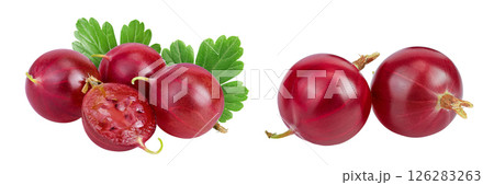 Red gooseberry isolated on white background with full depth of field. 126283263