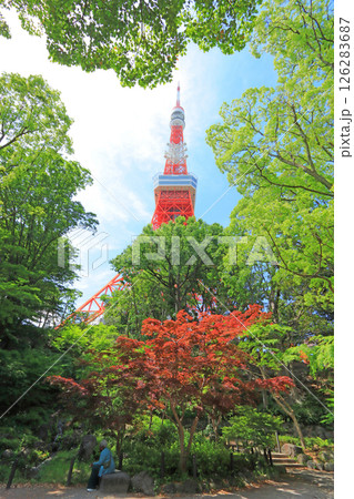 東京都港区、もみじ谷から見た東京タワーの風景 126283687