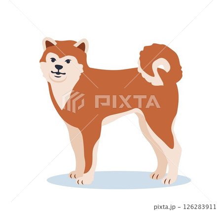 Shiba Inu, Japanese small size dog. Cute akita dog. Home pet. Dog with red-beige fur and fluffy tail. Vector illustration. Shiba Inu, Japanese small size dog. Cute akita dog. Home pet. Dog with red-beige fur and fluffy tail. Vector illustration. 126283911
