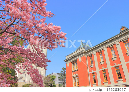 愛知県名古屋市、名古屋市市政資料館と桜の風景 126283937