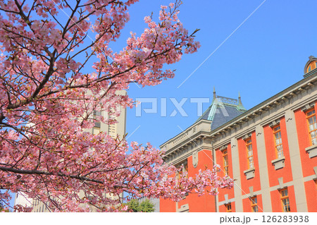 愛知県名古屋市、名古屋市市政資料館と桜の風景 愛知県名古屋市、名古屋市市政資料館と桜の風景 126283938